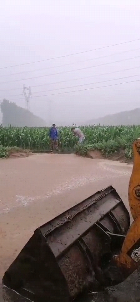 博農乳業黨支部 黨員防汛搶險沖鋒在一線