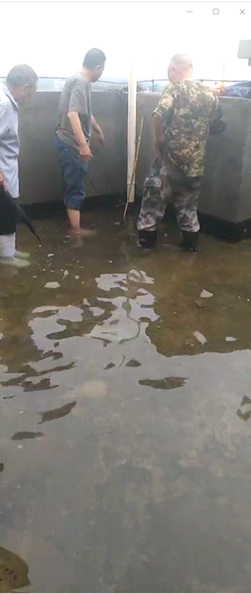 防汛搶險  抗洪排澇  博農物業在行動